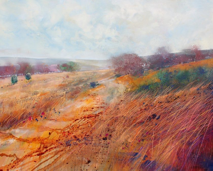 12029671_561325097353694_4816108127717782699_o